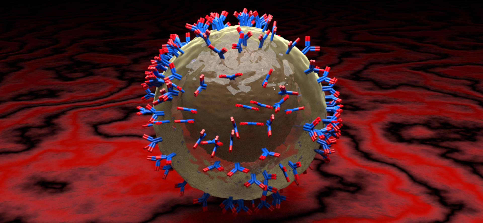 antibody.work